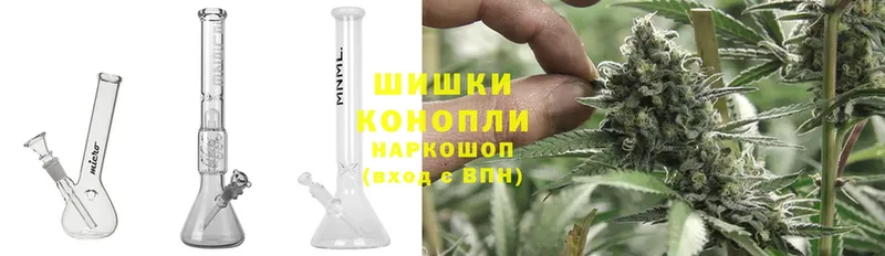 Конопля OG Kush  как найти закладки  Новозыбков 